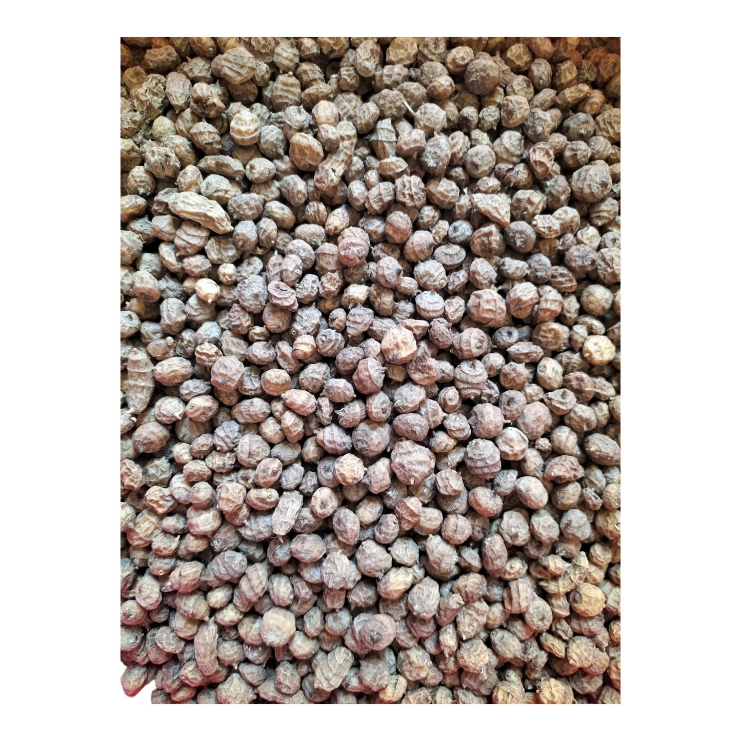 Tiger Nuts Raw Mixed Sizes Various Quantities