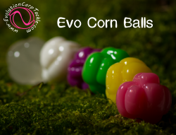 Evolution Carp Tackle Imitation Baits Various Was $6.95