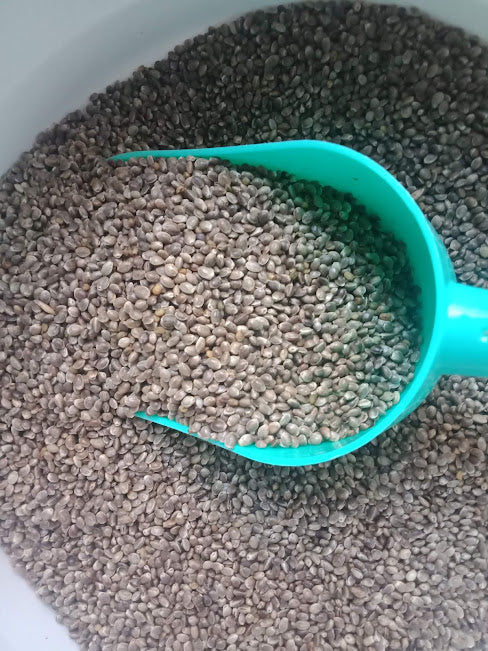 Hempseed Raw Aussie Grown Various Quantities New Price was $15.95/kg